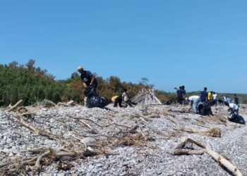 Quarantacinque sacchi di rifiuti raccolti a Punta Aderci: volontari in azione per ripulire la spiaggia