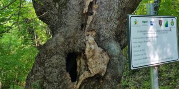Sentieri di solidarietà, sesta edizione con l’Avis di San Buono