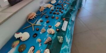 “Tesori dal mare”, a Vasto Marina fino al 19 giugno c’è la mostra malacologica