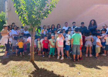 A Cupello raccolti 130 vecchi cellulari, saranno piantati 13 alberi
