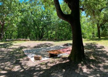 A Tufillo al via la stagione de “Il semplice straordinario”: 5 gli appuntamenti nel Bosco di Simurgh
