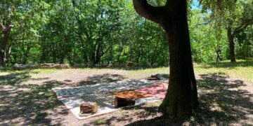 A Tufillo al via la stagione de “Il semplice straordinario”: 5 gli appuntamenti nel Bosco di Simurgh