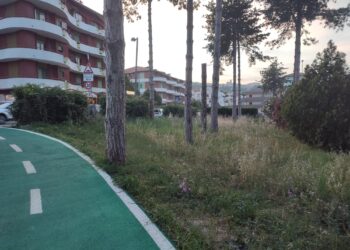 In viale Dalmazia area verde abbandonata vicino al nuovo raccordo ciclabile