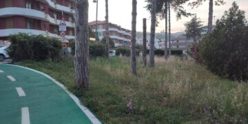 In viale Dalmazia area verde abbandonata vicino al nuovo raccordo ciclabile