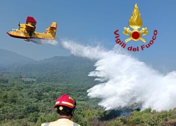 Emergenza incendi, in fumo 75 ettari di vegetazione