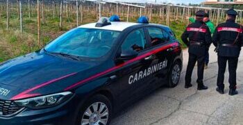 Mezzo da lavoro in fiamme a Casalanguida, indagini per accertare la natura del rogo