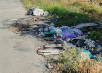 Microdiscariche nella zona industriale, rifiuti sparsi nel parcheggio e tra la vegetazione
