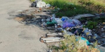 Microdiscariche nella zona industriale, rifiuti sparsi nel parcheggio e tra la vegetazione