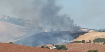 Incendi, è emergenza. A Montalfano agricoltori creano solchi frangifuoco