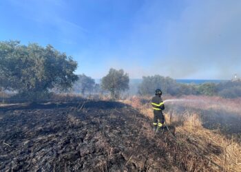 Incendio riduce in cenere tre ettari di vegetazione dietro alla stazione Vasto-San Salvo