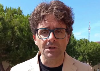 Menna:  «Tagliare quei tre pini, non c’è alternativa. Pianteremo alberi sicuri»