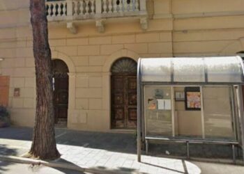 Taglio dei tre pini in corso Garibaldi, il Wwf contro il Comune: «Stop allo scempio»