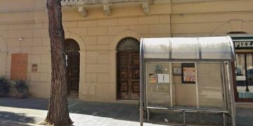 Taglio dei tre pini in corso Garibaldi, il Wwf contro il Comune: «Stop allo scempio»