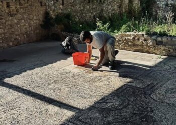 Erano cosparsi di guano, ripuliti i mosaici delle Terme romane. «A breve i lavori»
