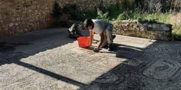 Erano cosparsi di guano, ripuliti i mosaici delle Terme romane. «A breve i lavori»