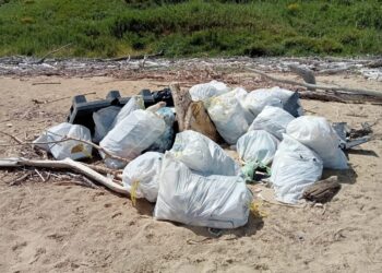 «Spiaggia di Punta Penna, rifiuti raccolti ma non rimossi. Peccato trattare così un paradiso»