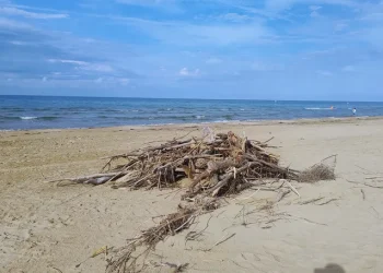 Spiaggia ripulita a metà: sull’arenile restano mucchi di rami