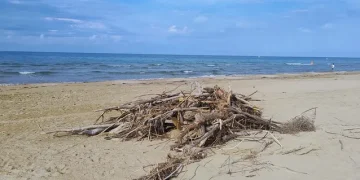 Spiaggia ripulita a metà: sull’arenile restano mucchi di rami
