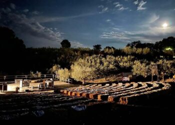 La nuova stagione del Teatro degli Ulivi si apre con l‘Elisir d’Amore di Donizetti
