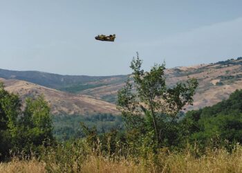 Incendio distrugge 5 ettari di querce secolari. Circoscritto col Canadair. «È doloso»