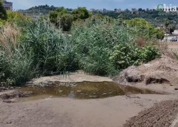 Evitare divieti di balneazione, d’Elisa: «Le acque di Fosso Marino al depuratore di San Salvo»
