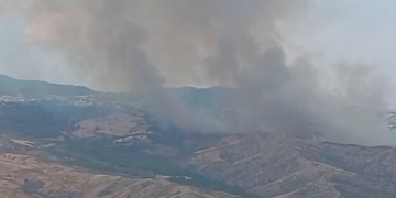 Torna l’incubo incendi: a Tornareccio bosco in pericolo. Rogo tra Cupello e Monteodorisio