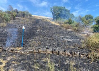 La scia di incendi si allunga ogni giorno: roghi a Casalbordino e Torre Sinello