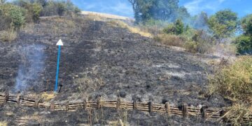 La scia di incendi si allunga ogni giorno: roghi a Casalbordino e Torre Sinello