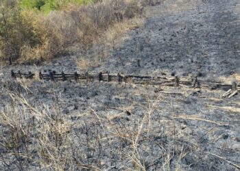 Incendi senza tregua nel Vastese: in fiamme anche terreni a Casalbordino