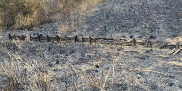 Incendi senza tregua nel Vastese: in fiamme anche terreni a Casalbordino