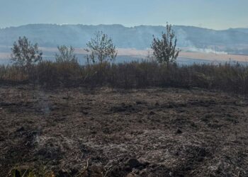 Incendio tra i campi a Fresagrandinaria, vigili del fuoco ed elicottero in azione