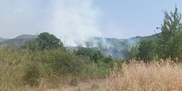 Incendio a Guilmi, le fiamme minacciano le querce secolari di Acquaviva. «È doloso»