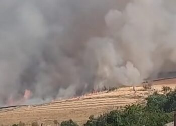 L’incendio non dà tregua: da due giorni è lotta contro le fiamme a Tornareccio