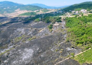 Colline di cenere: il paesaggio di Tornareccio carbonizzato da due giorni di incendi
