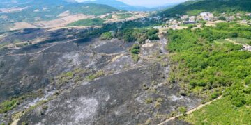 Colline di cenere: il paesaggio di Tornareccio carbonizzato da due giorni di incendi
