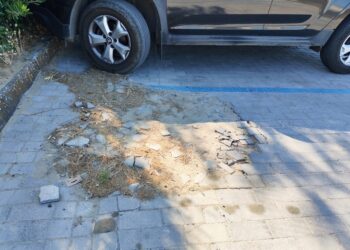Tascone: «Lungomare nord e Icea, la città aspetta ancora risposte»