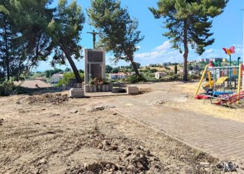 A Cupello non c’è più la pineta comunale, «Da quando riqualificare significa distruggere tutto?»