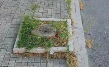 «Asfalto sconnesso e verde trascurato. Questa zona di Vasto è abbandonata»