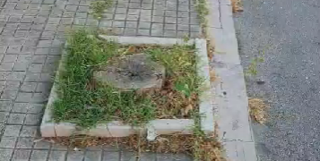 «Asfalto sconnesso e verde trascurato. Questa zona di Vasto è abbandonata»