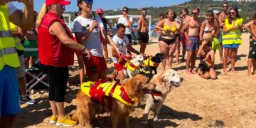 A Vasto Marina i cani da salvataggio protagonisti di una mattinata dedicata alla sicurezza in mare