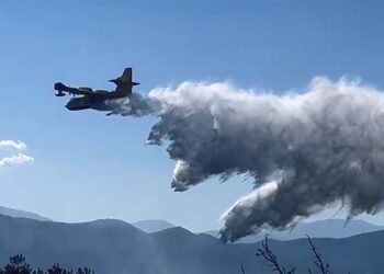 Incendi, Verrecchia (FdI) chiede riflessione su ricostituzione del Corpo forestale dello Stato
