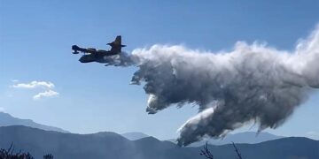 Incendi, Verrecchia (FdI) chiede riflessione su ricostituzione del Corpo forestale dello Stato