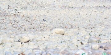 In provincia di Chieti non piove da 100 giorni, «Serve piano nazionale per nuovi invasi»