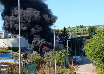 Incendio Cupello, Arpa e Asl escludono elementi di allarme. «Lavare accuratamente gli ortaggi»