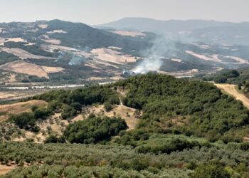 Rogo nella Valle del Trigno: le fiamme avanzano verso il fiume e la Trignina