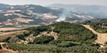 Rogo nella Valle del Trigno: le fiamme avanzano verso il fiume e la Trignina