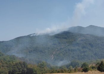 A Carpineto e Guilmi 100 ettari distrutti dal fuoco, ancora focolai su Monte Sorbo