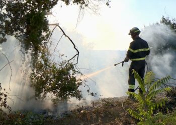 La piaga degli incendi a Torre Sinello: «Sette roghi in poche settimane»
