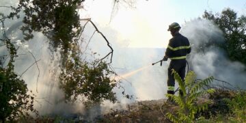 La piaga degli incendi a Torre Sinello: «Sette roghi in poche settimane»