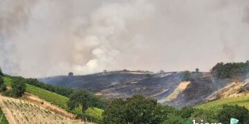 A fuoco le colline che circondano Valle Cena, campi e uliveti in fiamme